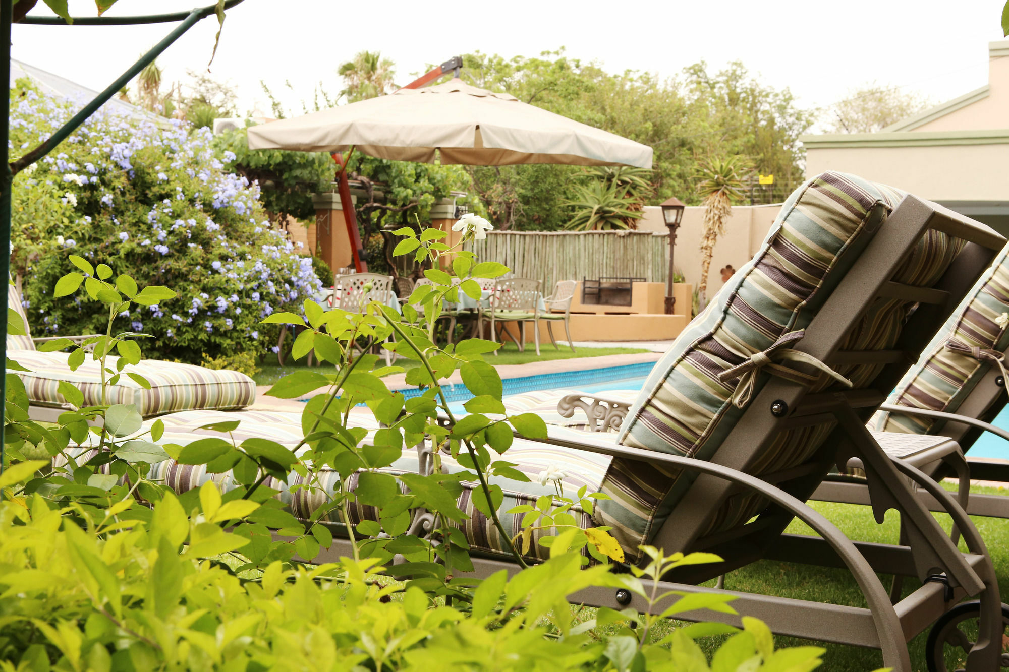 Oleander Guest House Кімберлі Екстер'єр фото